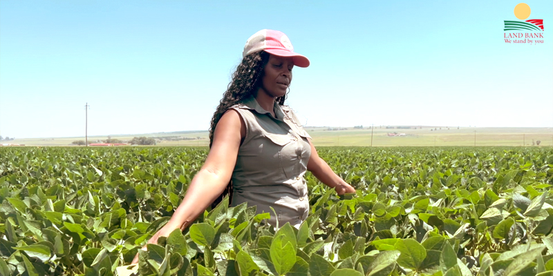 Anelly Mokwena Farm.jpg