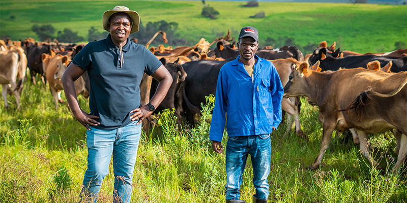 Matshidzula Family Trust.png