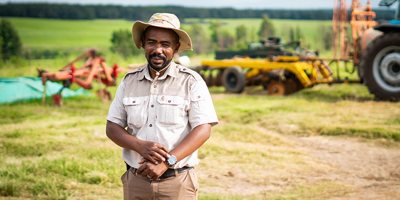 Matuana Agencies.png